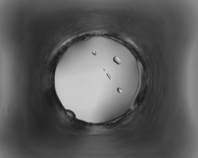X0000083551448200703021637