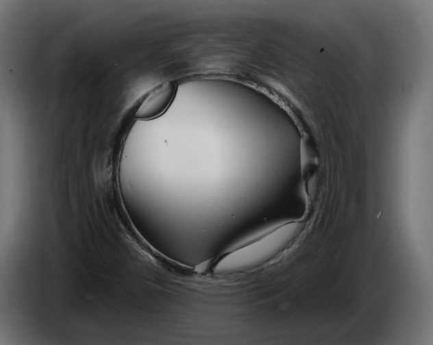 X0000083551450200703021637