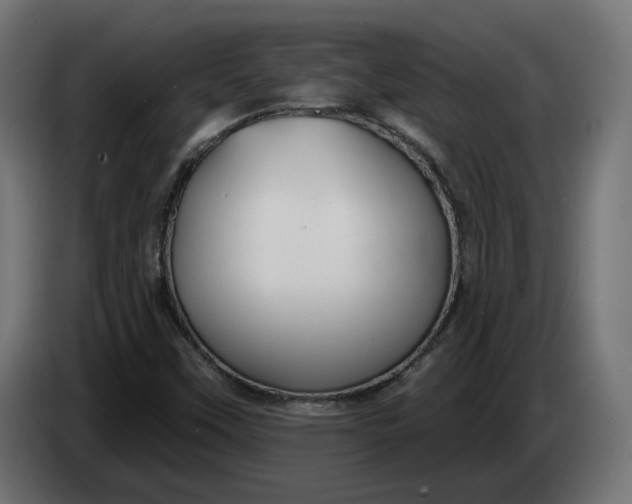X0000083551451200703021637