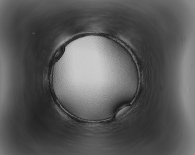X0000083551452200703021637