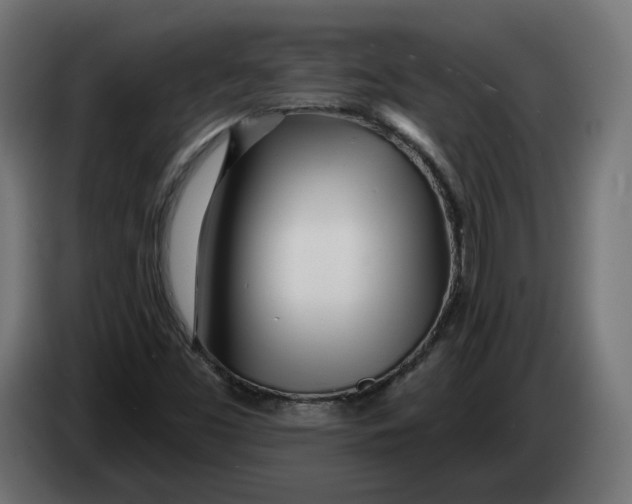 X0000083551453200703021637