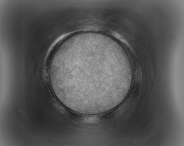 X0000083551454200703021637
