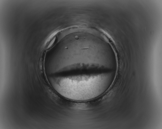 X0000083551455200703021637