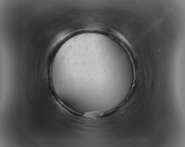 X0000083551456200703021637