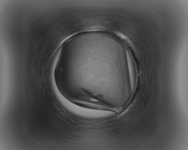 X0000083551457200703021637