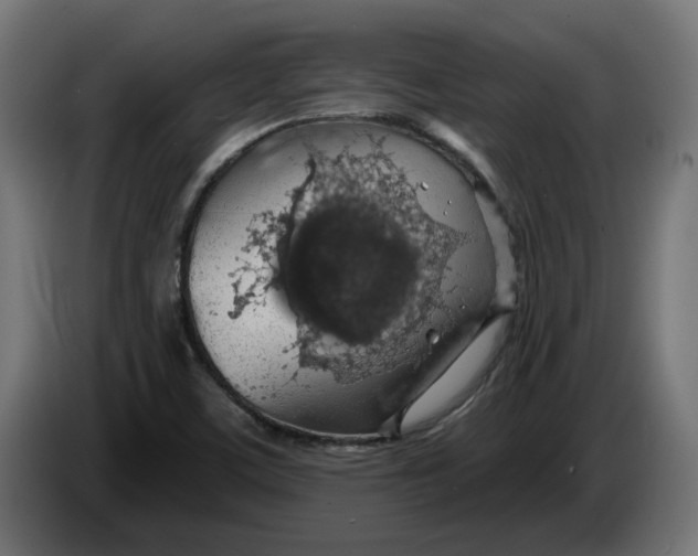 X0000083551459200703021637