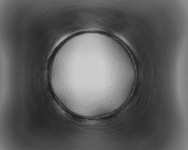 X0000083551460200703021637
