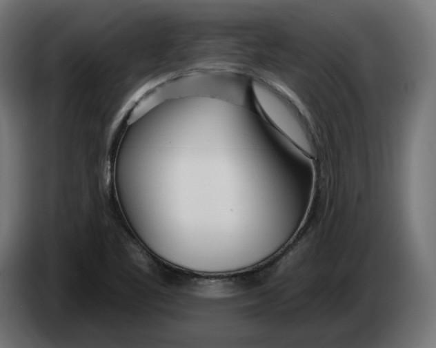 X0000083551461200703021637