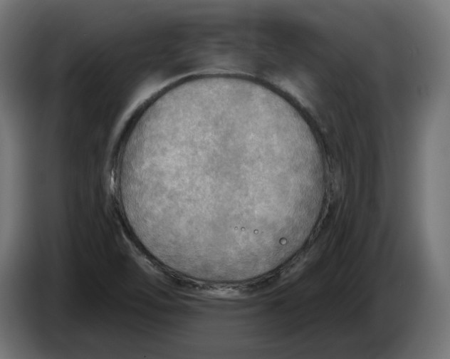 X0000083551462200703021637