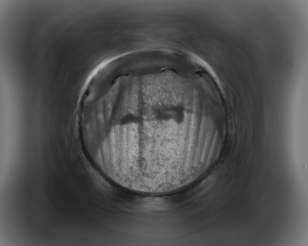 X0000083551463200703021637