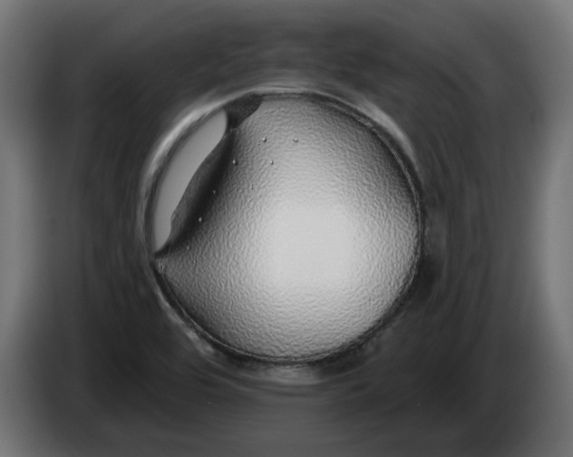 X0000083551464200703021637