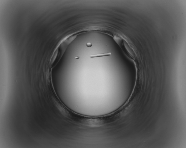 X0000083551465200703021637