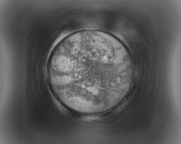 X0000083551466200703021637