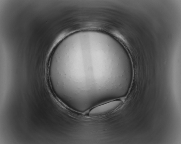 X0000083551467200703021637