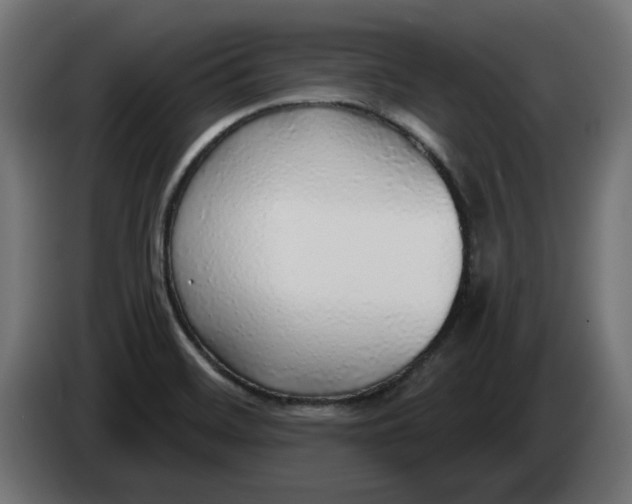 X0000083551468200703021637