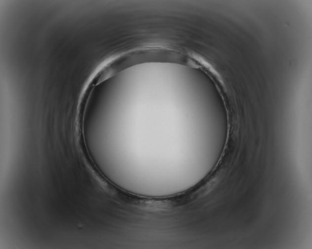 X0000083551469200703021637