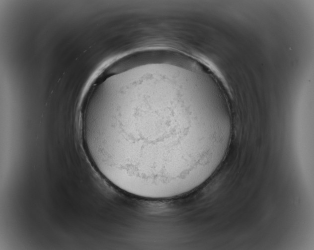 X0000083551472200703021637