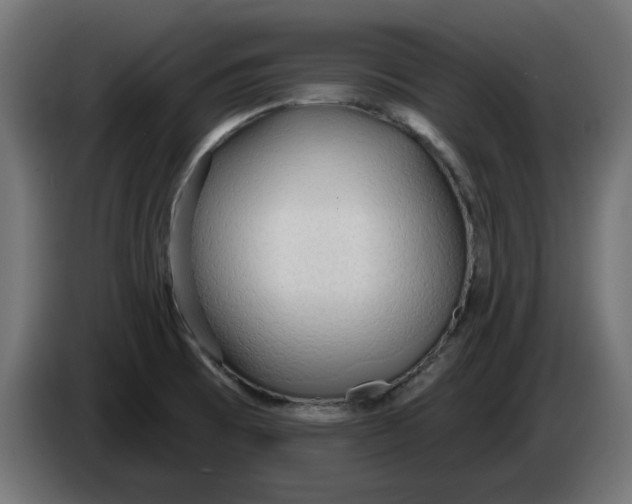 X0000083551473200703021637