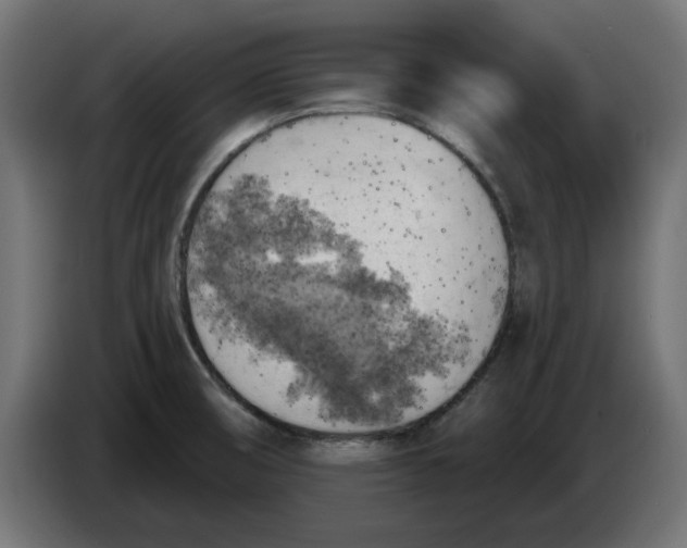 X0000083551474200703021637