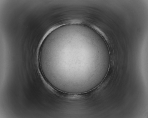 X0000083551475200703021637