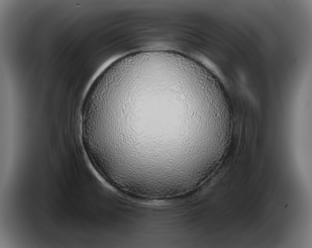 X0000083551476200703021637