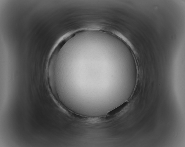 X0000083551477200703021637