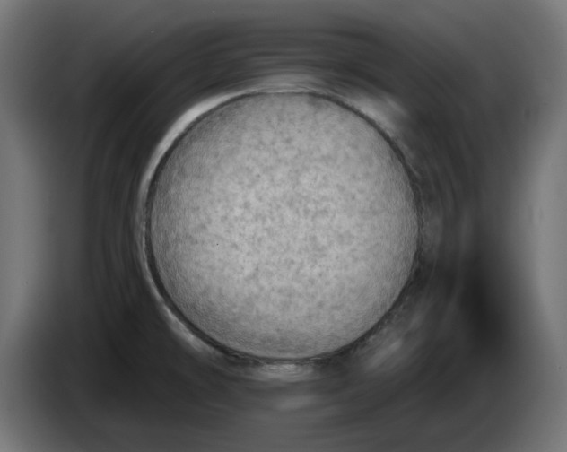 X0000083551478200703021637