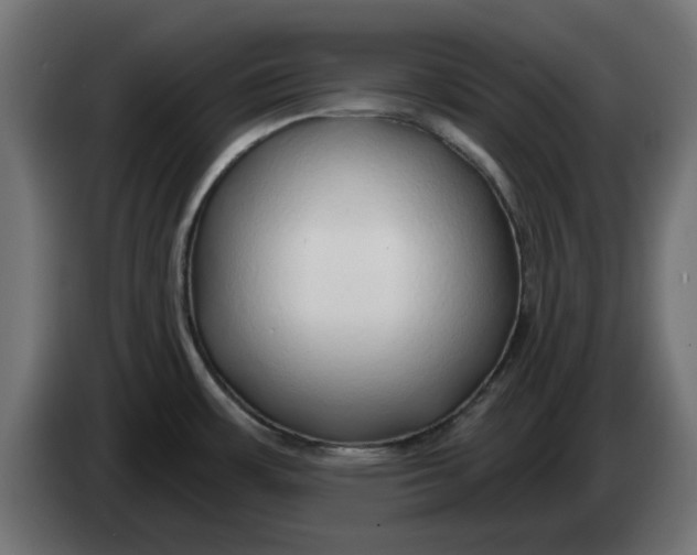 X0000083551483200703021636