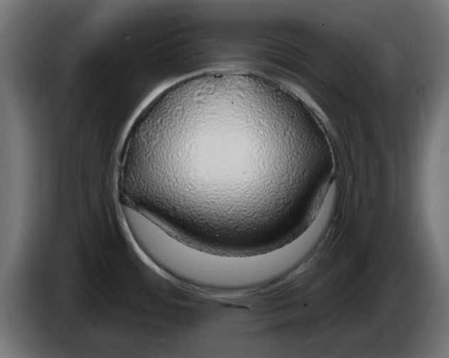 X0000083551484200703021636