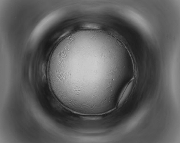 X0000083551487200703021636