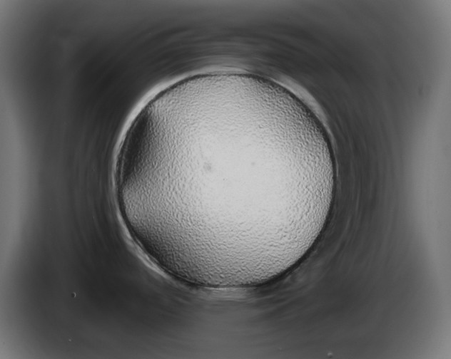 X0000083551488200703021636