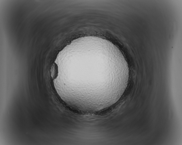 X0000083551489200703021635