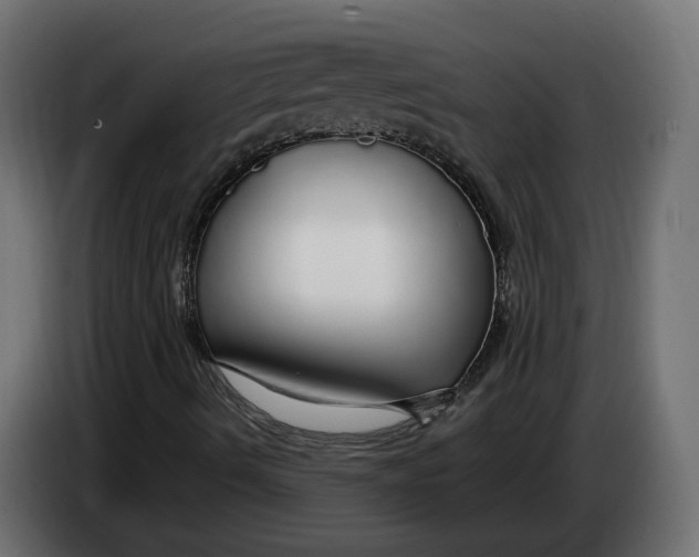 X0000083551490200703021635