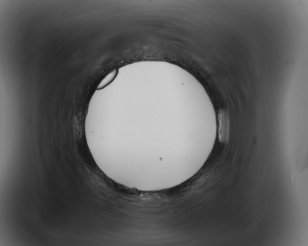 X0000083551491200703021635
