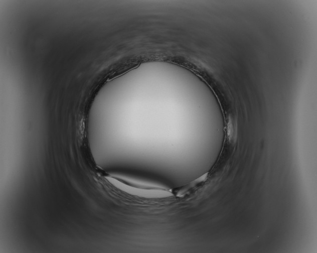 X0000083551492200703021635