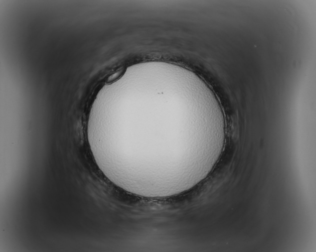 X0000083551493200703021635