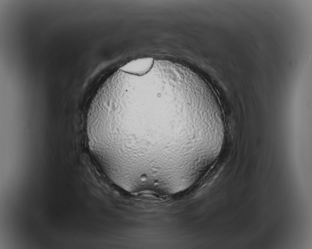 X0000083551494200703021636