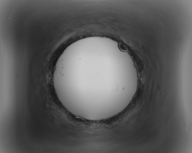 X0000083551495200703021636