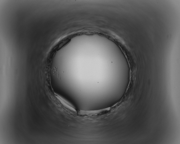 X0000083551496200703021636