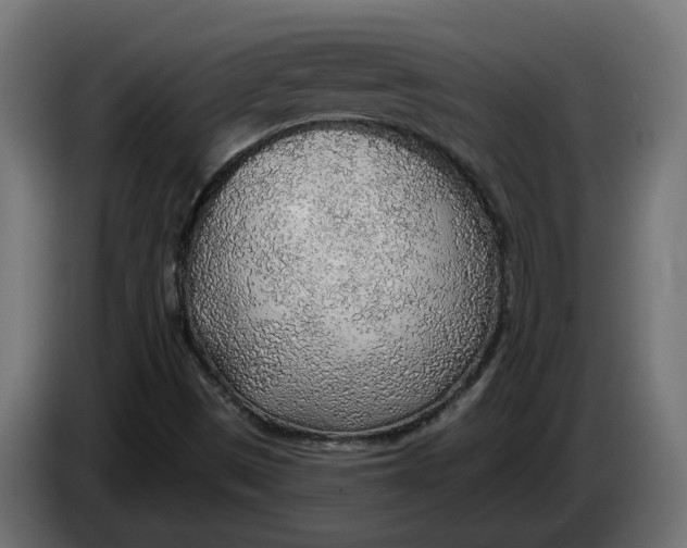 X0000083551497200703021636