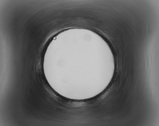 X0000083551498200703021636