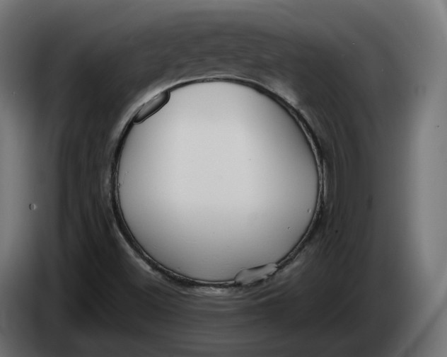 X0000083551500200703021636