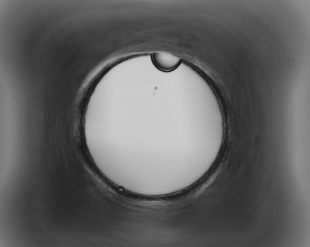 X0000083551502200703021636