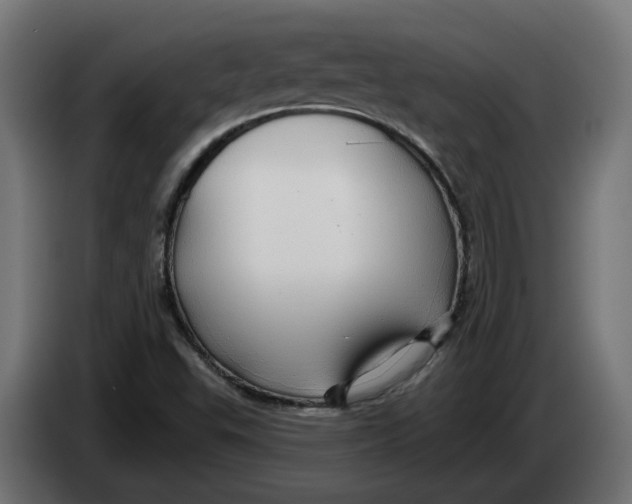 X0000083551503200703021636