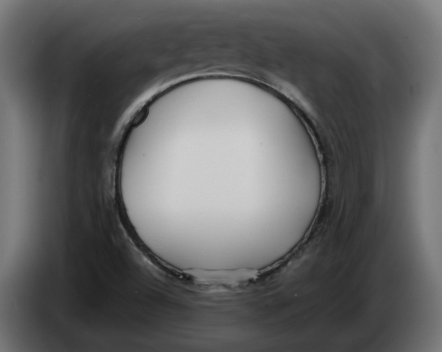 X0000083551504200703021636