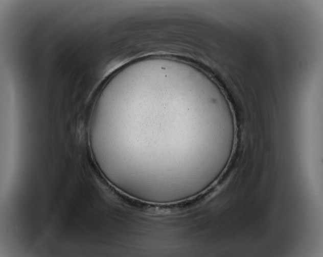 X0000083551505200703021636