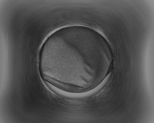X0000083551508200703021636