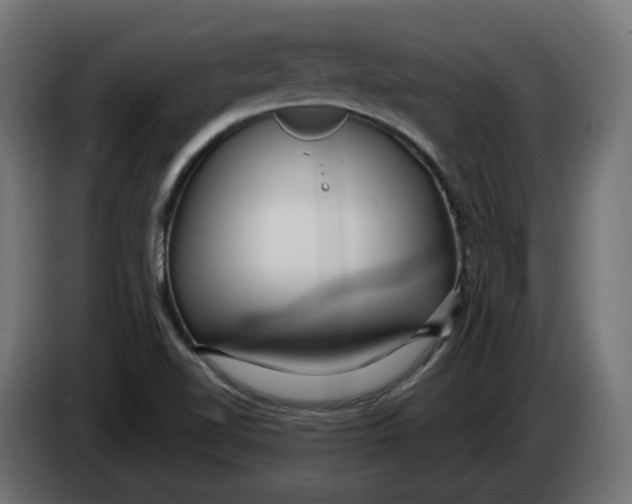 X0000083551510200703021636