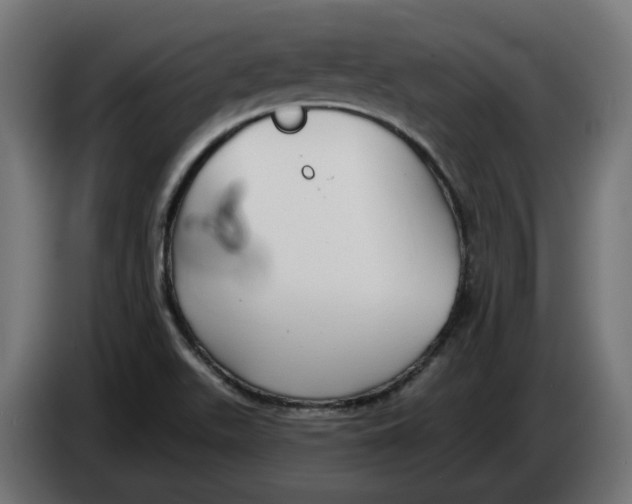 X0000083551511200703021636