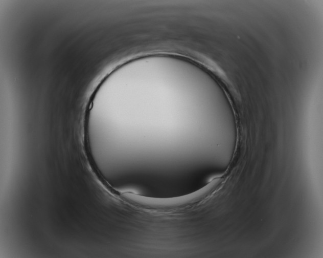 X0000083551512200703021636